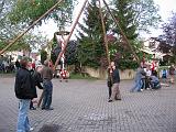 Maibaum 2009 160